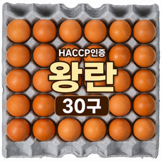 국내산 HACCP 인증 농장직송 신선계란 왕란 특란 대란, 1개, 30구