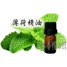 薄荷精油/薄荷油, 1個, 10ml