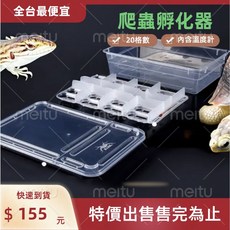 蜥蜴孵化盒 守宮孵化盒 繁殖盒 培育盒 20格數孵化盒 (內贈溫度計) 爬蟲繁殖箱 飼育箱, 1個