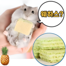 햄스터 파인애플 웨하스 햄스터웨하스간식 햄스터이갈이 햄스터간식, 1세트