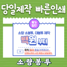 [당일제작]서류봉투인쇄 대봉투제작 100매 부터 소량인쇄가능 크라프트 모조 칼라 흑백금액동일, 소봉투(220X105), 백모조, 덥게 인쇄안함