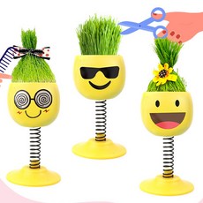 4500 스프링이모티콘잔디, 1개