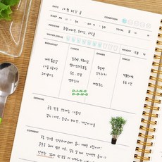다이어트 식단 일기 건강 운동 일지 식사 기록 식습관 하루 계획표, 오렌지, 오렌지