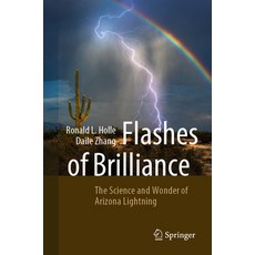 (영문도서) Flashes of Brilliance: The Science and Wonder of Arizona Lightning Paperback, Springer, English, 9783031198786