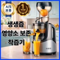 생생즙 영양소보존 착즙기 가정용 과일야채 원액기 주서기 과즙기, 실버그레이, 생생즙 착즙기