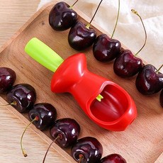 체리씨 제거기 체리씨빼기 체리 씨앗 제거기 과일 씨분리기, 1개