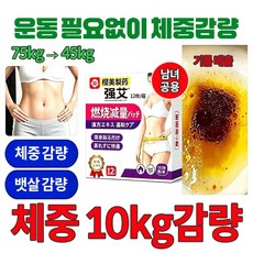 {당일배송 | 전신적용}퓨어 플랜트 다이어트 패치 팔뚝살 패치 뱃살 독소 패치 복부 내장지방분해 종아티슈 포함, 4개, 12개입