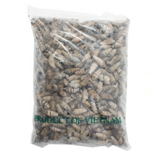 갯고동 1kg, 1개, 단품