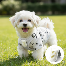 온댕 나가드댕 강아지 고양이 아로마 자석 클립 모기 진드기 퇴치 해충방지 벅스쉴드, 1개, 2.5ml, 실버