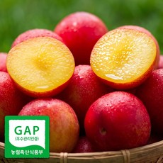 [산지직송 일50박스] GAP인증 황제 꿀 자두 초고당도, 1개, 4.5kg(황제)