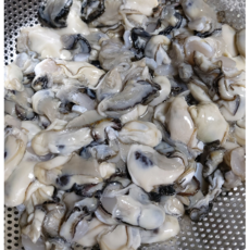 하태푸드 국내산 통영 최상급 생굴, 4개, 1kg