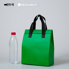 일회용 보냉백 보온 파우치 보냉가방 손잡이 가방 부직포, 1L, 딥그린 프룻그린 소형