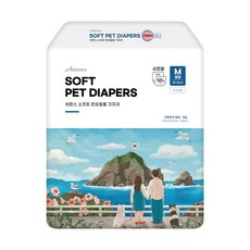 아몬스 수컷용 강아지 기저귀, 중형, 1개, 50개입