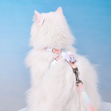 큐트스마트 고양이 강아지 겸용 클라우드 X자 리드줄, 그라디언트 그린, 1개