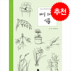 매일 스케치 식물, 더디퍼런스, 연필이야기