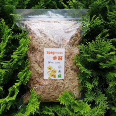 늘푸른연구소 뉴질랜드 스패그모스 AA급 100g 300g 소분 풍란 춘란 호접란 서양란 테라리움 이끼 토피어리 천연 수태, 1개