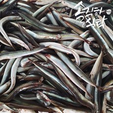 국내산 동해안 햇 제철 양미리 1kg, 1개, 급냉 양미리 1kg(31~35미)