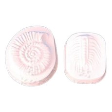 초등4학년 과학 화석관찰 고대생물 삼엽충 조립키트 5인/ 과학만들기 알지네이트, 1세트