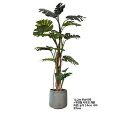 조화 조경 몬스테라 상품 장식 키 거실 소품 매장 카페, 거북이 등나무+화분 높이 220cm