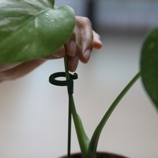 앤디네상점 오링 식물 지지대 48cm 10개 + 58cm 10개 세트, 1세트