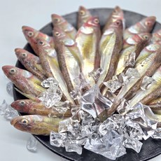 동해 자연산 알배기 햇도루묵 1세트 1kg(20미내외), 1개, 1kg 20미 내외