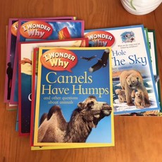 엄마표영어 영어동화책 그림책 독서교육 초등 5-6학년 영어학원교재 어린이도서 전집 어린이동화 유아교육용 스토리텔링 영어학원책, i wonder why 25권