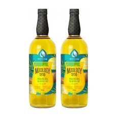 포모나 믹솔로지 피나콜라다 시럽 1000ml 2개세트, 1L, 2개