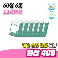 임산부 수유부 태아 신경관 정상 발달 필요 엽산 400 60정 6통 12개월분 임신초기영양제 임신준비 영양제 아연 비타민B12