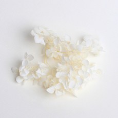 화연양화 프리저브드플라워 수국 1g 30색, 01 화이트