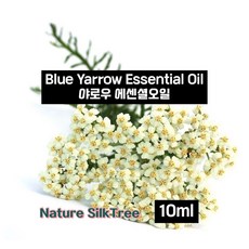 야로우 에센셜오일 10ml Blue Yarrow Essential Oil 화장품용
