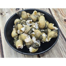동해 골뱅이 2kg(70~100미) 흑고동 급냉, 2개, 1kg