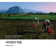 서귀포의 아침, 눈빛, 우명률 저