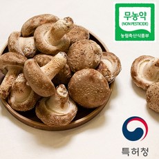 [인증마크보유] 친환경 재배 특허청 인증 백화점 납품 문경 유황 백송화버섯 상세페이지 확인 필수, 1세트, 120g 분말