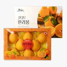 제주하우스 벨롱벨롱 제주 한라봉 선물세트 (20과 내외), 1박스, 4.5kg