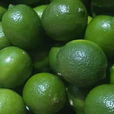 영양이 가득한 멕시코산 건강 과일 상큼하고 신맛이 강한 라임 중과 30과-디저트 요리 칵테일재료