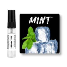 [3+1] 블랙하비 민트향 베스트 10종 고농축 드레스퍼퓸 / 사탕수수 발효 베이스 사용, 1개, 4ml, 023. 뉴파크