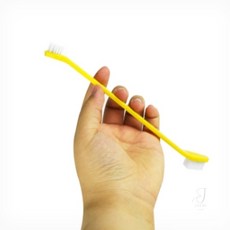 째미쇼핑 반려견 칫솔 애견 강아지 구강