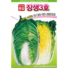 [주주씨앗] 장생3호 배추 씨앗 1000립 / 노란 내엽이 맛있는 김장배추 종자 / 가을 파종 채소씨앗 씨앗몰, 1개