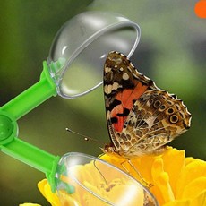 어린이 심 생태계 벌레 채집 곤중 사냥 관찰 도구 가위 통, 1개, 브브 01곤충가위-오렌지