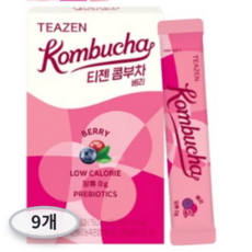 티젠 콤부차 베리, 5g, 9개, 10개입