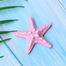 【微景小舖】微景觀 大號貝殼 大號海星 DIY冰箱貼 手機殼飾品 海洋造景 沙灘造景擺件 貝殼 海星 仿真海星 地中海, 1個, 粉紫海星