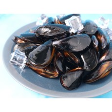 당일채취 산지직송 국내산 생물 손질홍합, 1개, 10kg