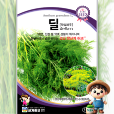 세계종묘 딜 100립 향신계 팍실라우 약효 식용꽃 허브 꽃씨 씨앗 종자 세계, 1개
