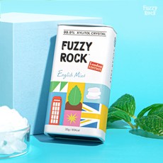 퍼지락 런던에디션 무설탕 자일리톨 캔디 잉글리쉬민트 (틴), 1개, 35g