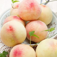 엄선된 달콤한 고당도 프리미엄 딱딱이 백도 복숭아, 1박스, 딱복 대과 2kg(4-6과내외)