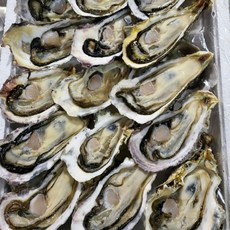 시즌아웃)국산 하프쉘 굴 1상자 30~33미 반각굴, (30-33미) x 1세트