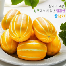 성주참외 산지직송 달콤아삭 꿀참외, 1박스, 1kg (혼합과)