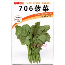 【野菜部屋】日本706菠菜種子10公克(約750粒) - 植株挺立、產量高、口感佳, 1包