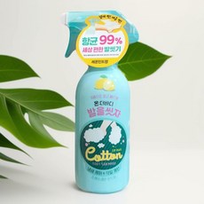 발씻기 편한 발냄세 제거 레몬민트향 스프레이형 클렌징폼, 1개