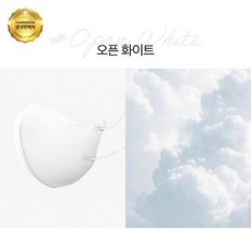 참존화장품 참존 톤업핏 블랙라벨 라이트 KF94 마스크 중형 오픈 화이트 25매, 대형, 턱시도 블랙, 1, 25